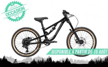 vtt fluid 2.2 20" 2023 occasion