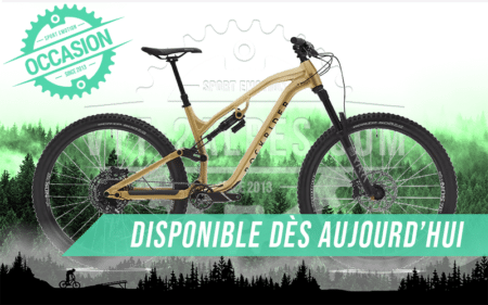 vtt rockrider feel 700 lt 2024