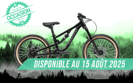 vtt fluid 2.2 20" 2023