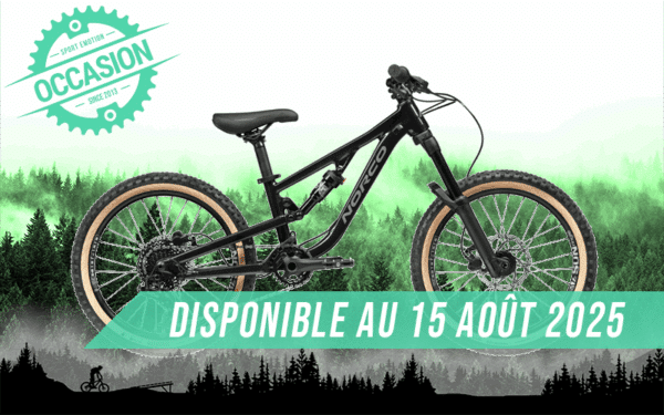 vtt fluid 2.2 20" 2023