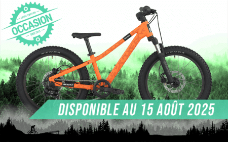 vtt scott scale silver 20" 2024