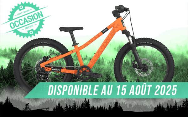 vtt scott scale silver 20" 2024