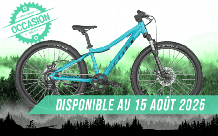 vtt scott scale silver 24" 2024