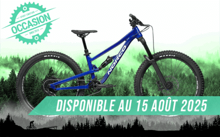 vtt fluid 4.1 24" 2024