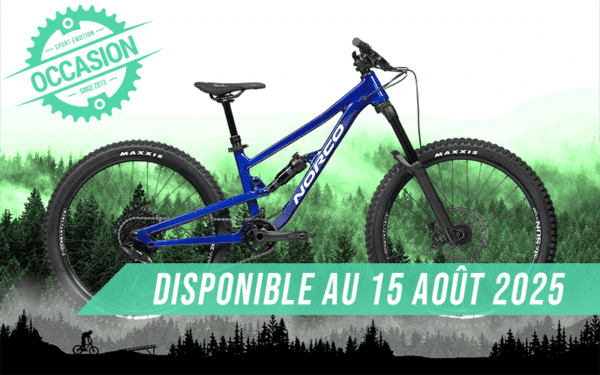 vtt fluid 4.1 24" 2024