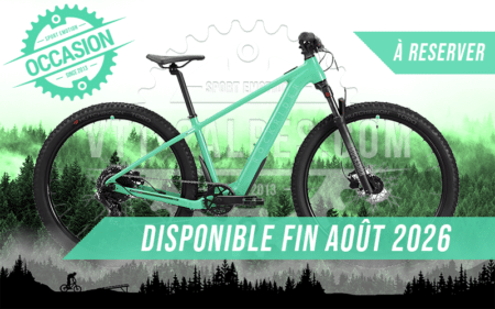 vtt rockrider e expl 26" 900 vert 2025