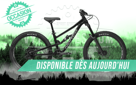 vtt fluid 4.2 24" 2024